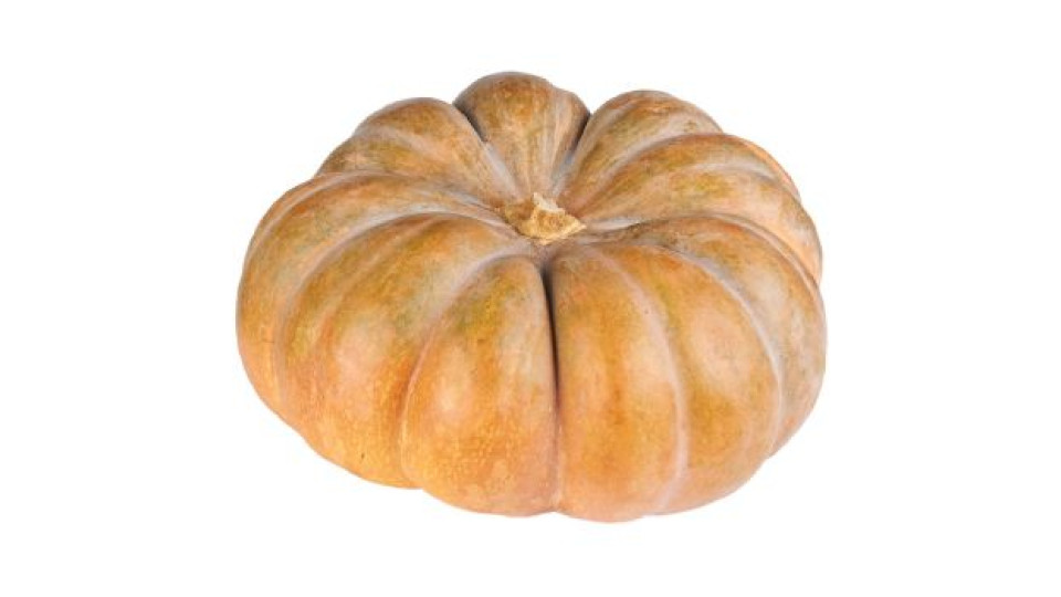 Zucca Moscata di Provenza Bio Italia