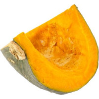 Zucca Delica