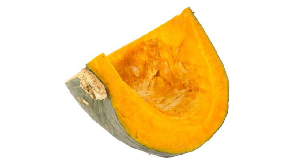 Zucca Delica
