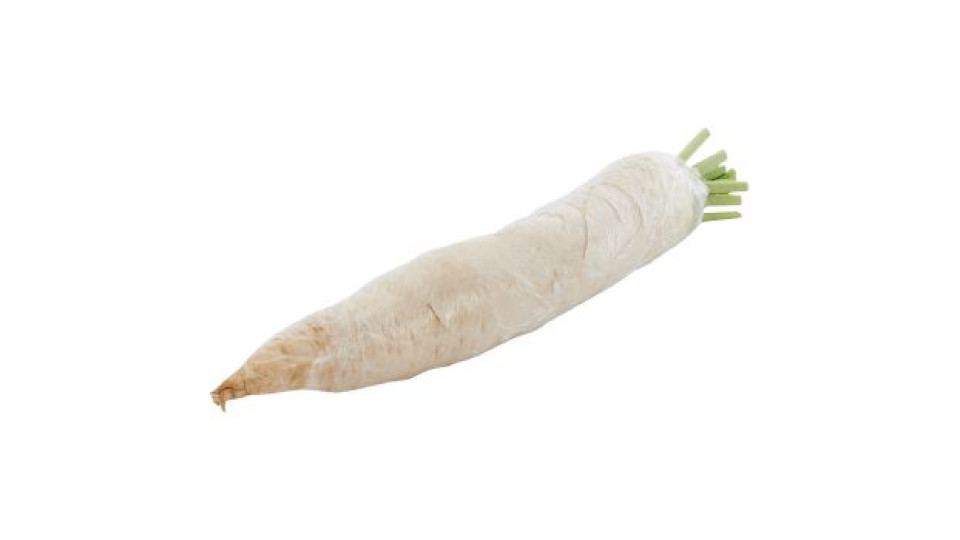 DAIKON 300-700GR