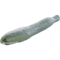 Cetrioli Lunghi Spagna
