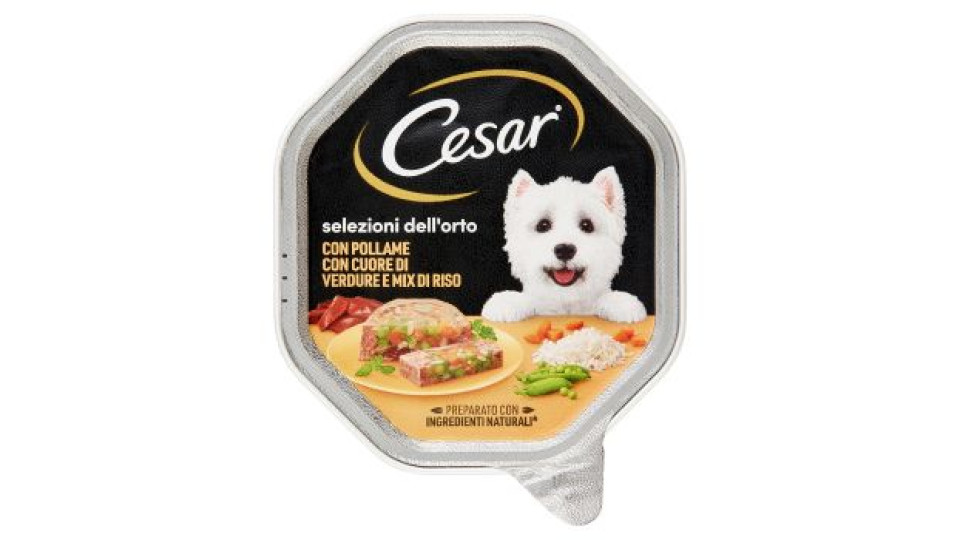 Cesar Selezioni dell'Orto Cibo Umido Cane in Vaschetta con Pollo e Cuore di Verdure dell'Orto 150 g
