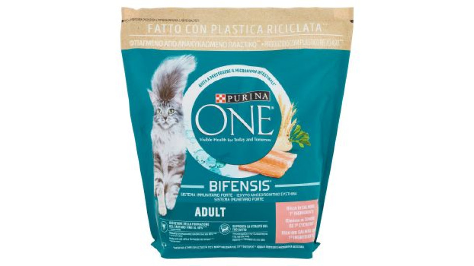 PURINA ONE Adult Ricco in Salmone 1,5 kg