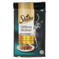 Sheba Délices du Jour in Salsa Cibo Umido Gatto con Pollo e Tacchino 6 x 50 g