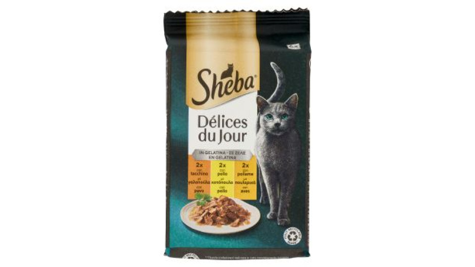 Sheba Délices du Jour in Salsa Cibo Umido Gatto con Pollo e Tacchino 6 x 50 g