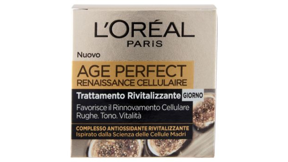 L'Oréal Paris Crema Viso Notte Age Perfect Reinassance Cellulaire, Trattamento Ricostituente Notte, Pelli Mature, 50 ml, Confezione da 1