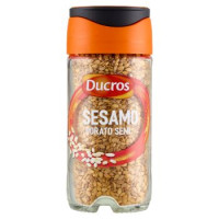 Sesamo Semi