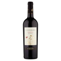 Coppi Primitivo Puglia Igt