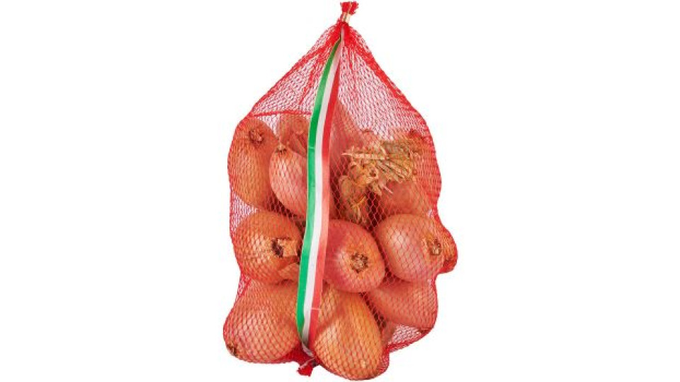 Scalogno