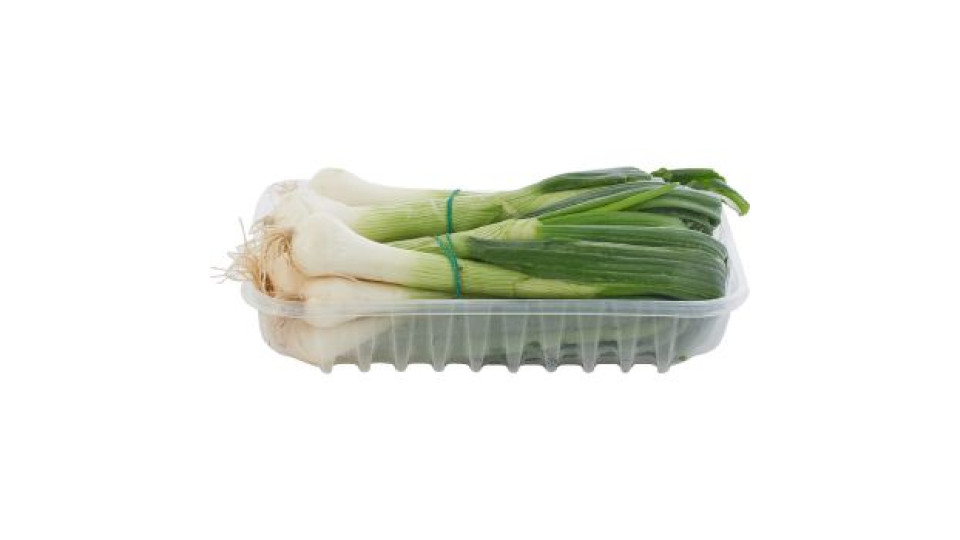 Cipollotti