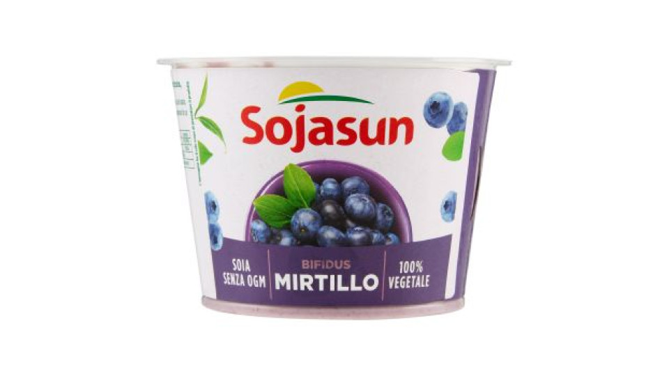 Sojasun Bifidus Pezzi di Frutta Mirtillo