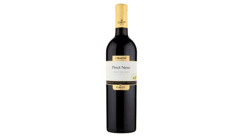 Cavit Mastri Vernacoli Lagrein Dunkel Trentino Doc