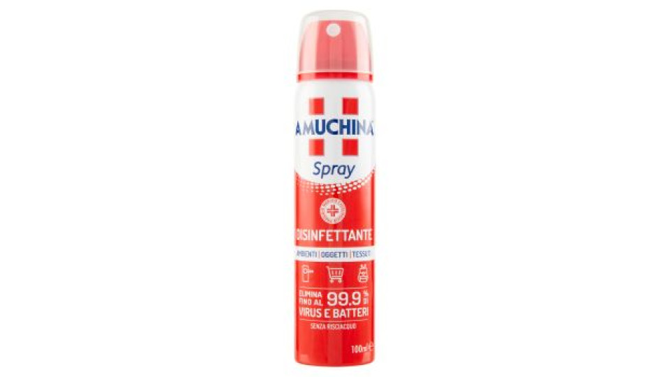 Amuchina Spray Disinfettante 100 ml