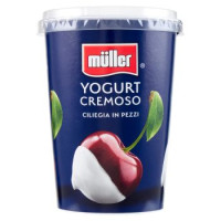 müller Yogurt Cremoso Pesca & Albicocca in Pezzi