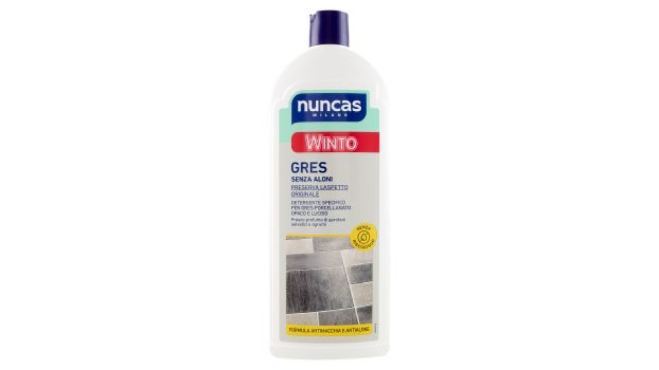 DETERGENTE WINTO GRES