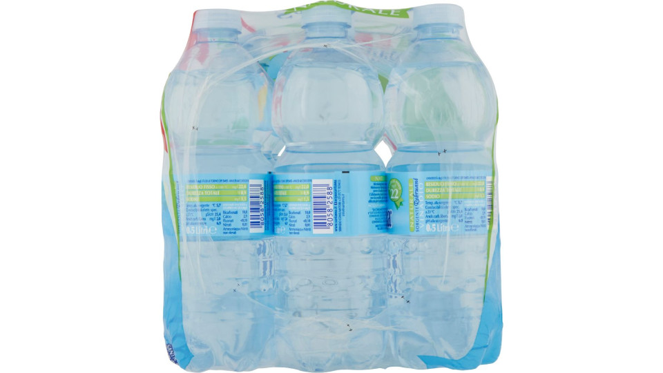 Naturale Sorgente Rebruant 1,5 Litri