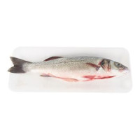 Branzino Allevato Italia