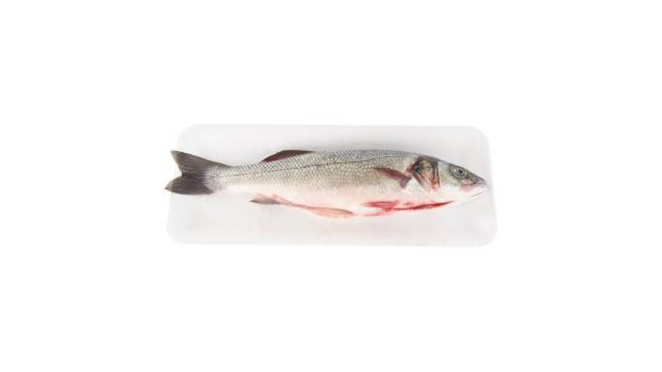 Branzino Allevato Italia