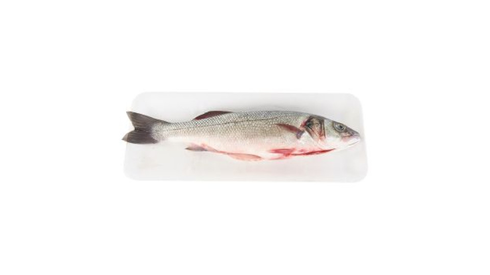 Branzino 800/1000