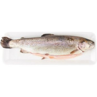 Esselunga Trota salmonata eviscerata
