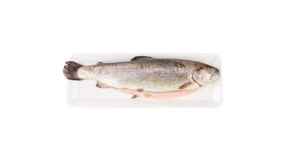 Esselunga Trota salmonata eviscerata