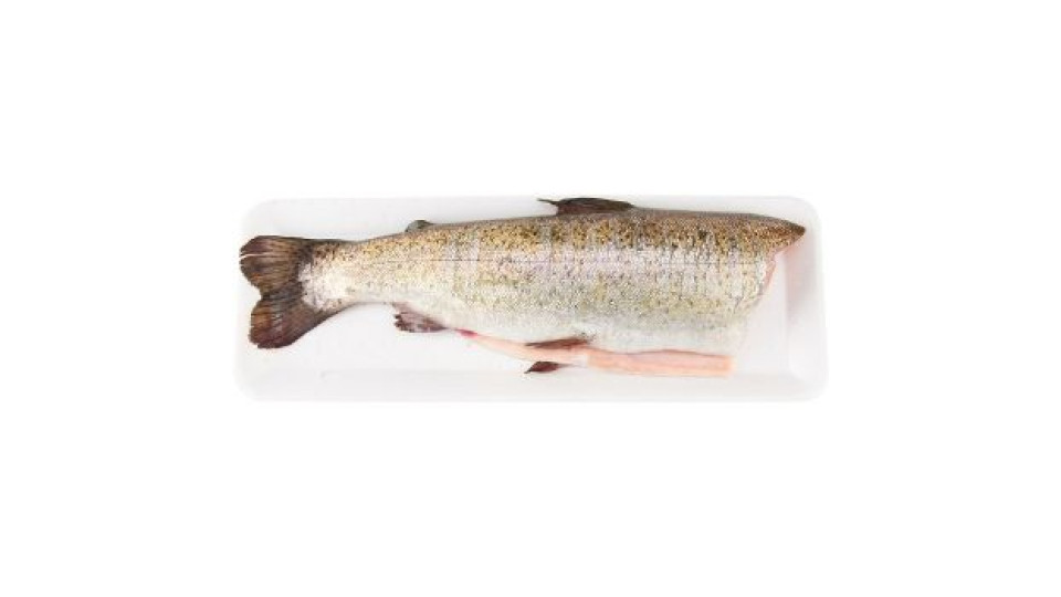 Esselunga Trota salmonata eviscerata senza testa