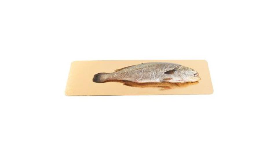 Esselunga Ombrina Boccadoro