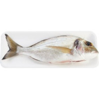 Orata Pescata