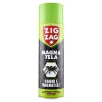 Ragni e Ragnatele Magna Tela