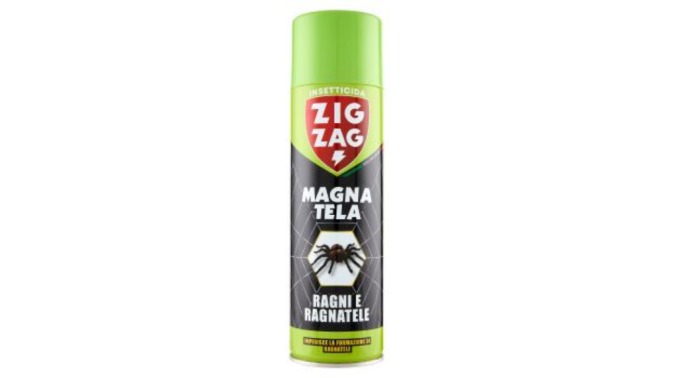 Ragni e Ragnatele Magna Tela