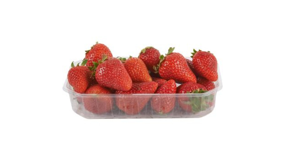 Fragole BIO