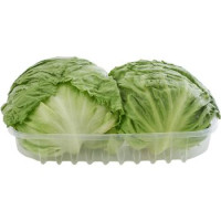 LATTUGA ICEBERG