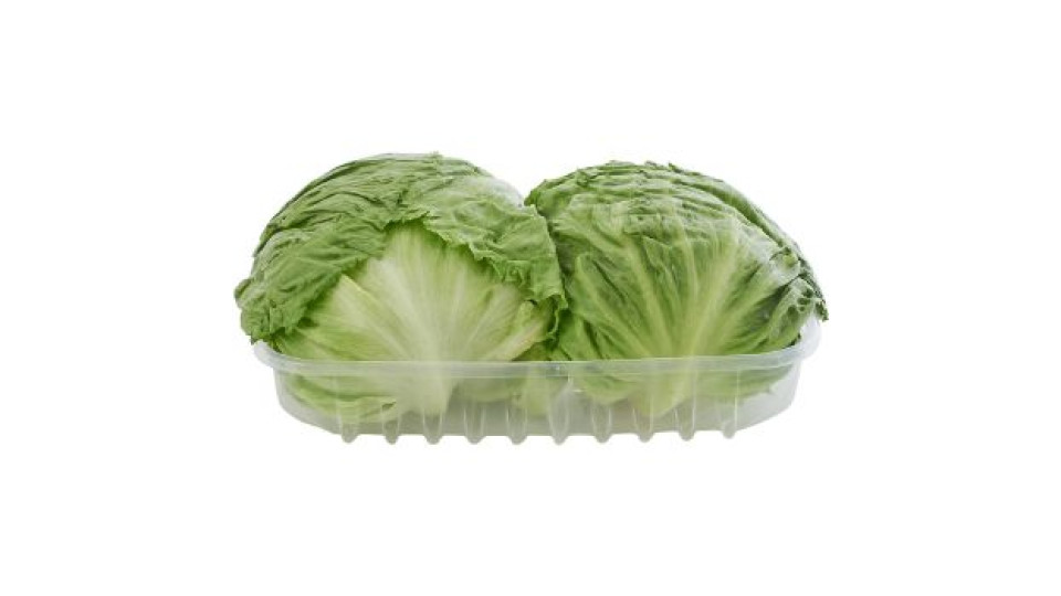 ICEBERG   ***