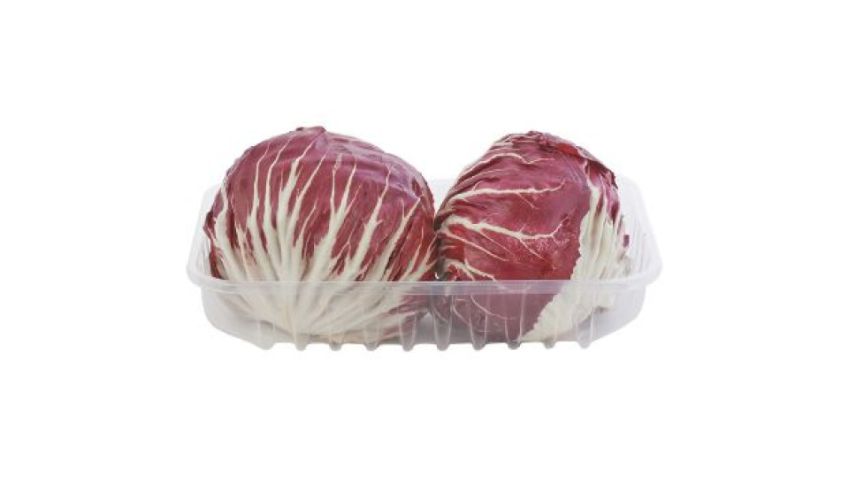 Radicchio Rosso Tondo