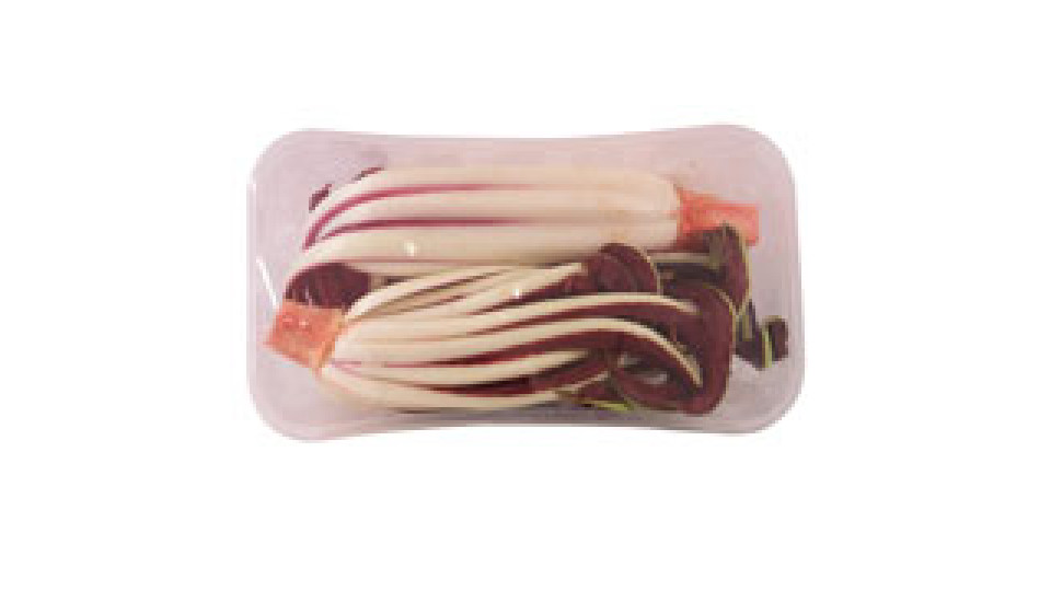 Radicchio rosso tardivo, confezionato 
