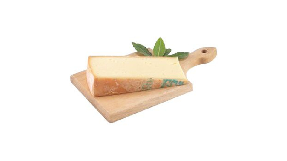 Fontina DOP