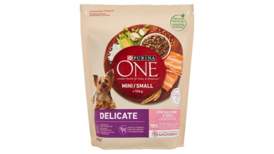 PURINA ONE Mini/Small Delicate Ricco in Salmone con Riso 800g