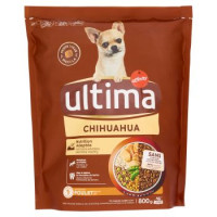 Ultima Dog Chihuahua