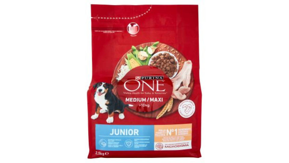 PURINA ONE MEDIUM/MAXI>10kg Cane Crocchette Junior Ricco in Pollo con Riso Sacco
