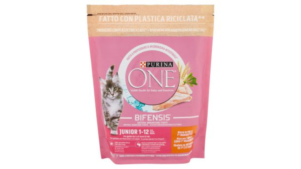 PURINA ONE MINI<10kg Cane Crocchette Junior Ricco in Pollo con Riso Sacco