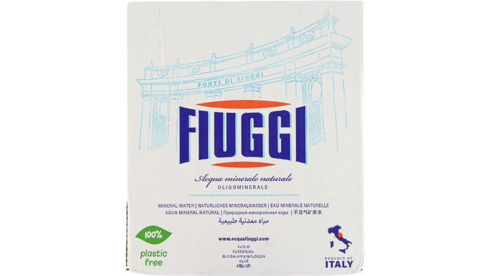 6 ACQUA FIUGGI OLIGOMINERALE NATURALE , 1l x 6