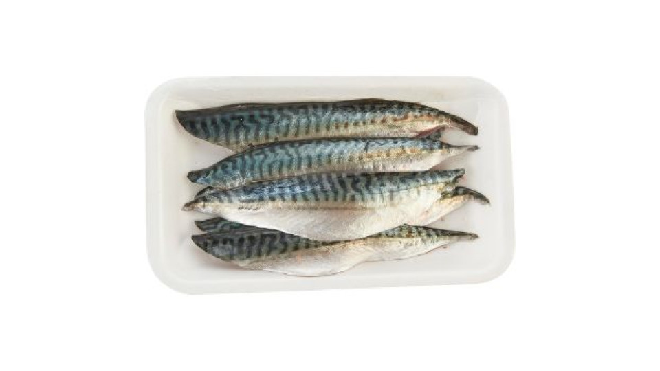Filetto di Sgombro