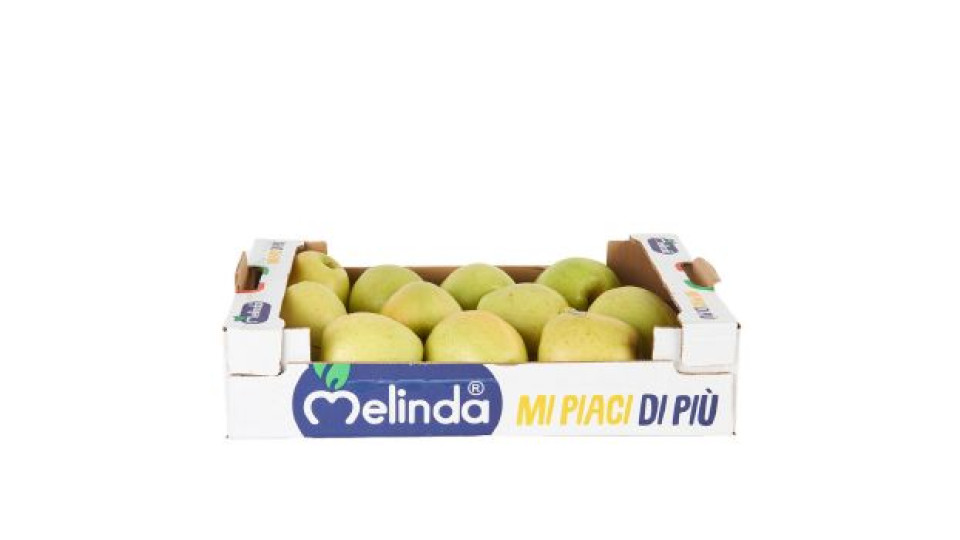 Melinda Golden 2,3 kg