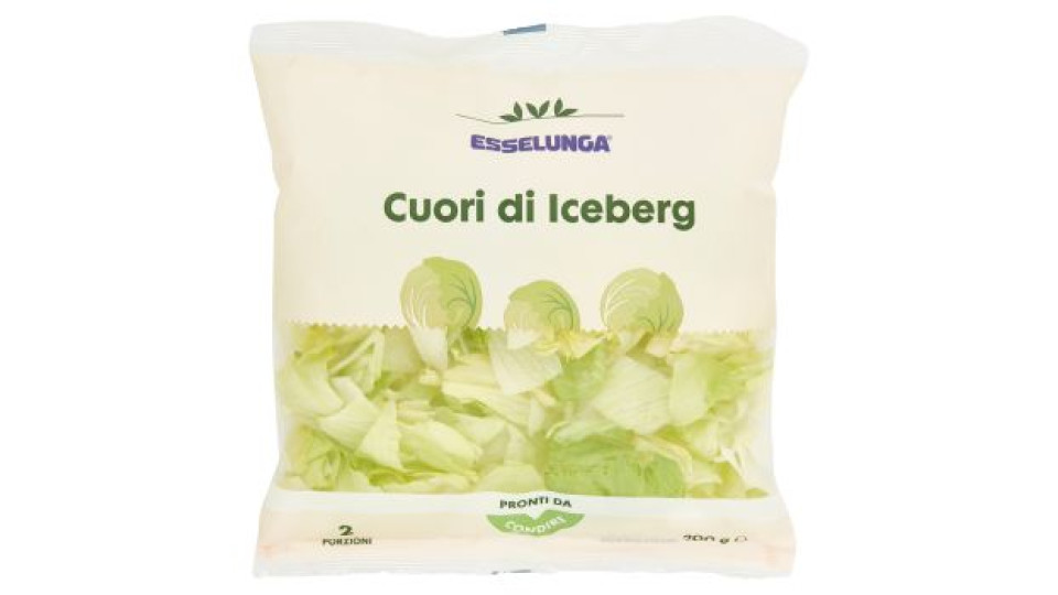ICEBERG