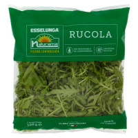 Rucola
