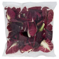 Cicorino