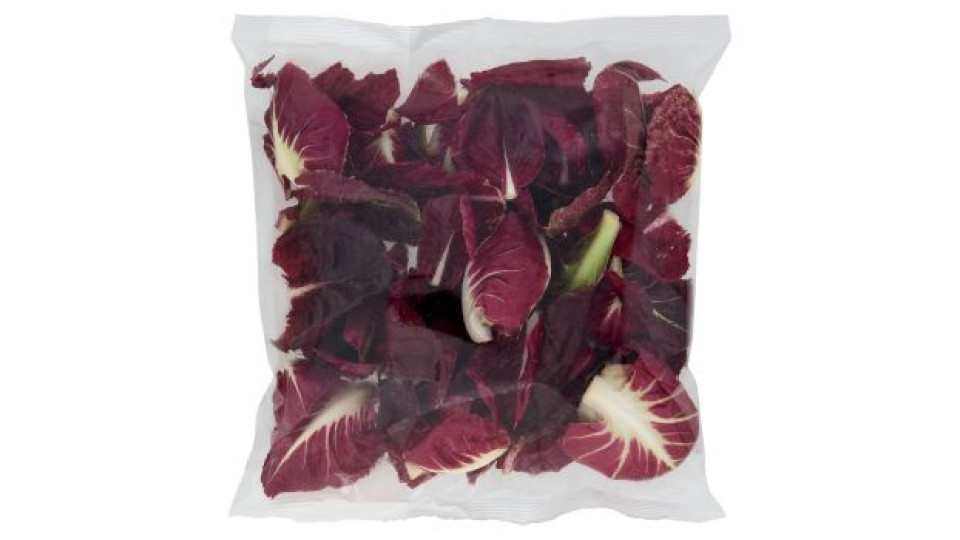 Cicorino