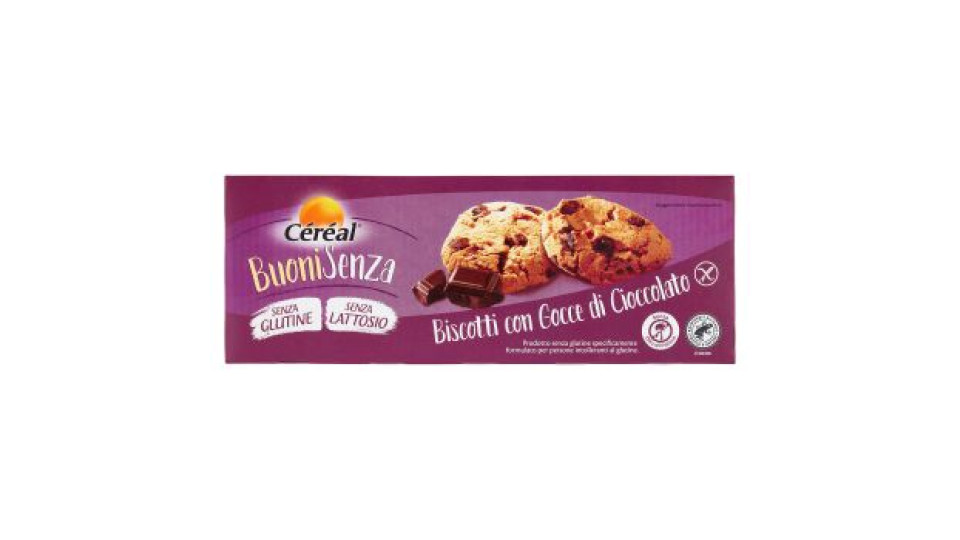 Biscotti con Gocce di Cioccolato