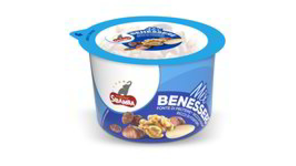 Mix di frutta secca benessere