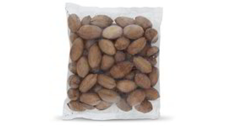 Noci pecan in guscio tostate e salate